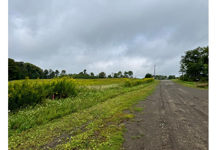Finger Lakes NY land for sale
