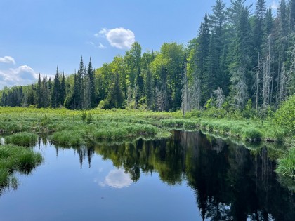 Adirondack NY land for sale