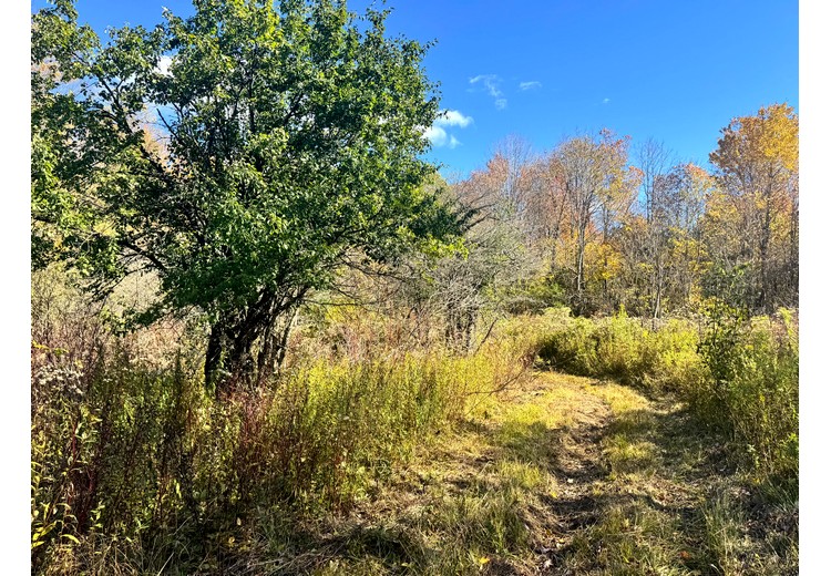 Tug Hill NY land for sale