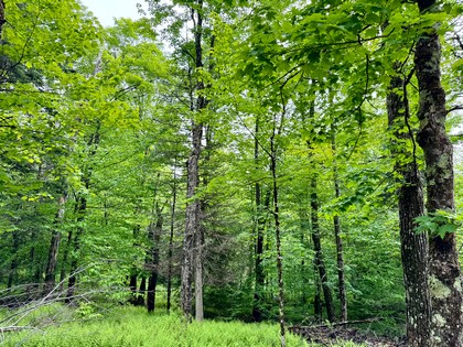 Adirondack waterfront land for sale NY