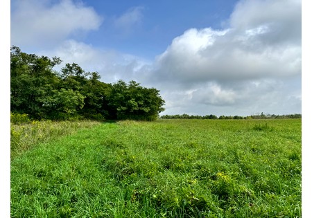Finger Lakes area NY land for sale