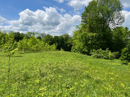 NY land for sale near Salmon River - Orwell, NY
