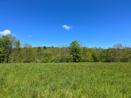 NY land for sale