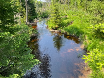 Adirondack NY land for sale