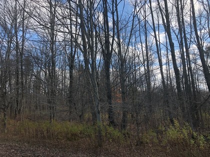 NY land for sale southern tier ny