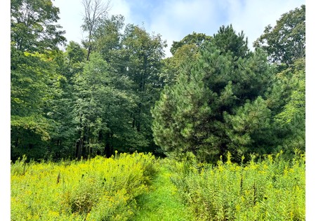 Finger Lakes NY land for sale