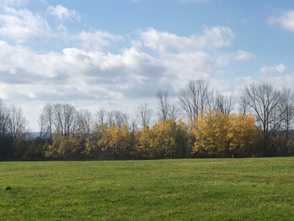 NY hunting land for sale