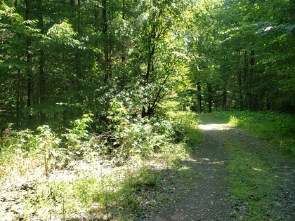 NY camp for sale in Amboy NY