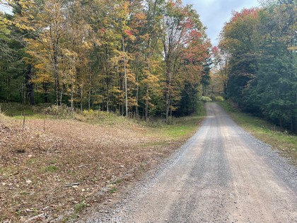 NY land sale near Oneida Lake