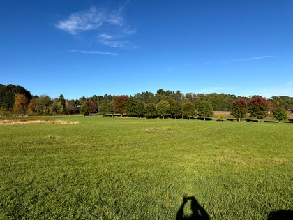 Chenango county NY land for sale