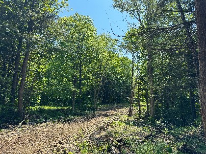 NY hunting land for sale