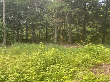 NY waterfront land for sale