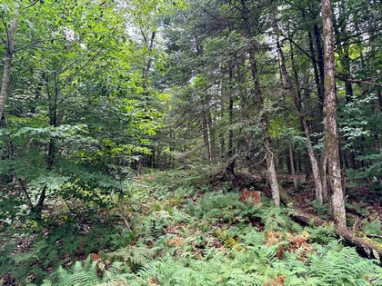 Adirondack land and waterfront for sale