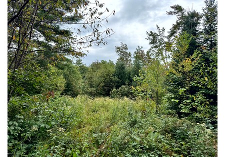 NY hunting land
