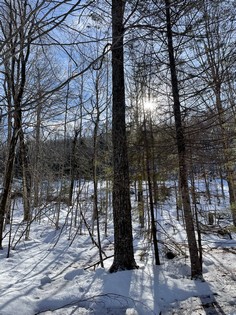 Adirondack land for sale